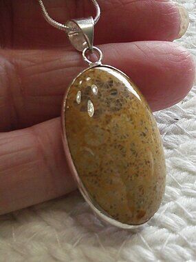 Natural FOSSIL CORAL Handmade Sterling 925 Pendant/Chain #549E